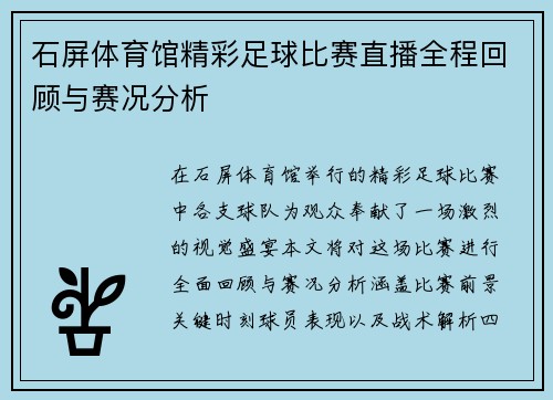 石屏体育馆精彩足球比赛直播全程回顾与赛况分析
